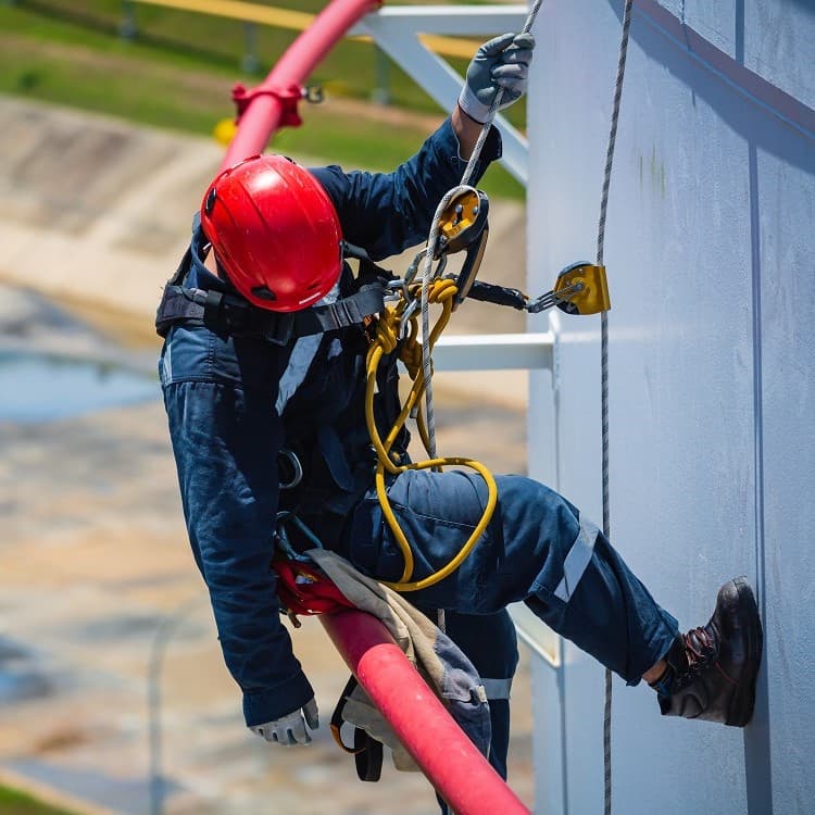 Fall Protection (Work at Height)